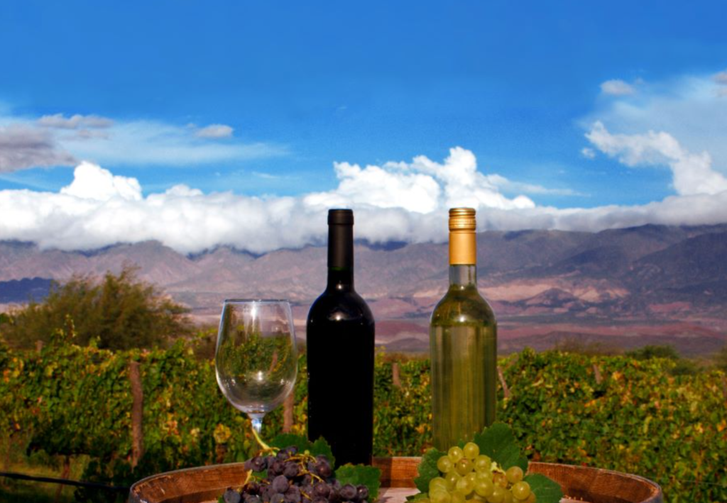 Colalao del Valle celebra la Fiesta Provincial de la Vendimia 2026 captura de pantalla 2026 02 18 114335